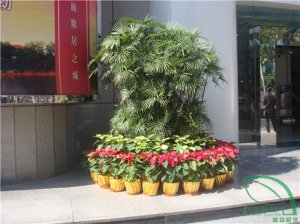 寫(xiě)字樓門口